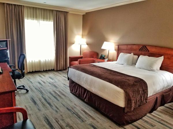 Lucky 7 Casino & Hotel, Book Hotel Harbor USA