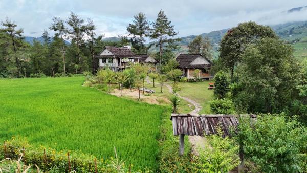 Lapantan Paradise, Book Lodge Lao San Chay 