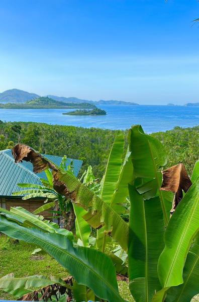 Green Hill Restaurant & Cottages, Book Ferielandsby Billige hoteller i Palawan