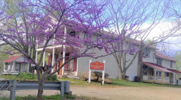 Bliss Point Farm and B&B, LLC, Book Bed and Breakfast Earlysville Virginia