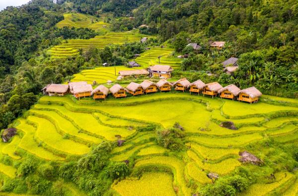 Hoang Su Phi Lodge, Book Hotel Hoàng Su Phì Ha Giang