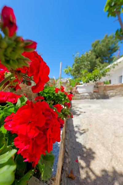 Flower Vila, Book Lejlighed Vlorë County hoteller med parkering, Parkering