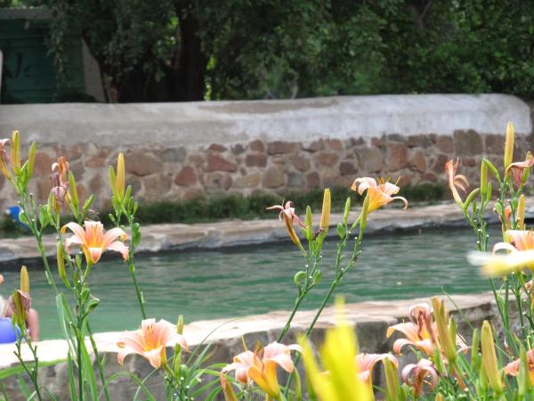 Hillside Farm, Book Pension Trompsburg Free State