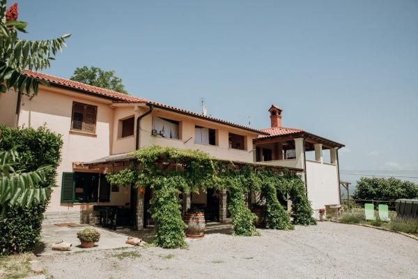 Apartmaji Pajer, Book Hotel Koper hoteller med pool, Swimmingpool
