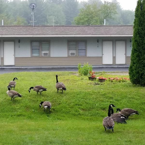 Becket Motel