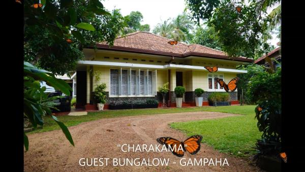 CHARAKAMA Guest Bungalow - GAMPAHA, Book Pension Minuwangoda Gampaha