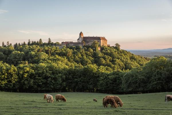 Burg Bernstein, Book Hotel Hoteller i Burgenland med pool, Swimmingpool