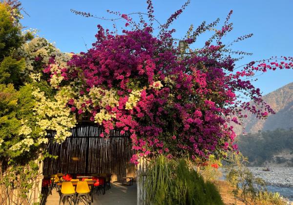 Nayar Valley Retreat, Book Hotel Billige hoteller i Uttarakhand