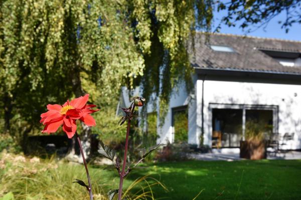 Villa Astrantia, Book Feriehus Bruinisse 