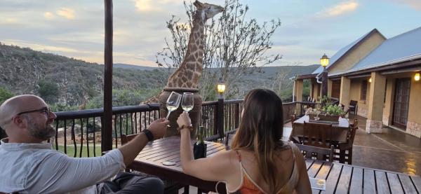 Valley Bushveld Country Lodge, Book Lodge Hoteller i Eastern Cape med pool, Swimmingpool