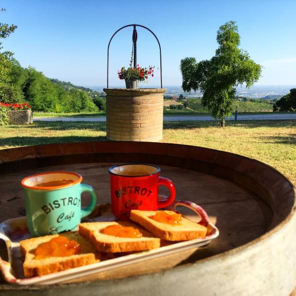 Podere Baratta agriturismo e cantina, Book Landbrugsophold Collinello Emilia-Romagna