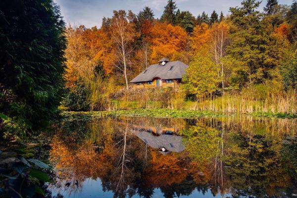 Dzikie południe, Book Feriehus Podkarpackie Villas, Villa