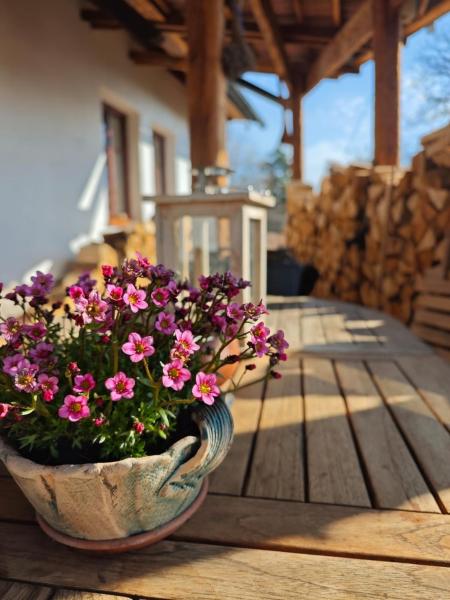 Apartmány pod Kozákem, Book Lejlighed Velké Popovice Central Bohemia