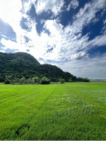 Phong Nha Rice Field Homestay, Book Lodge Hoteller i Quang Binh med pool, Swimmingpool