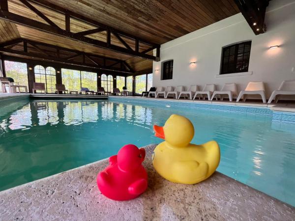 Le Tri Renard Spa, Book Bed and Breakfast Hoteller i Liège med pool, Swimmingpool