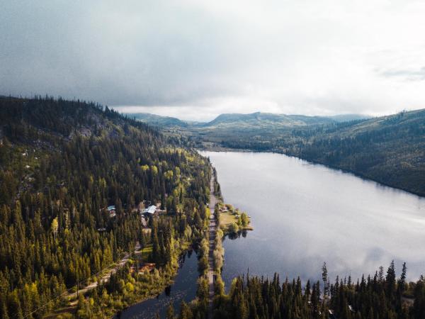 Chute Lake Lodge, Book Telt  