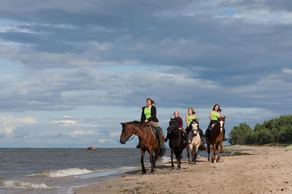 Arma Riding Farm And Holiday Home, Book Feriehus Rutja 