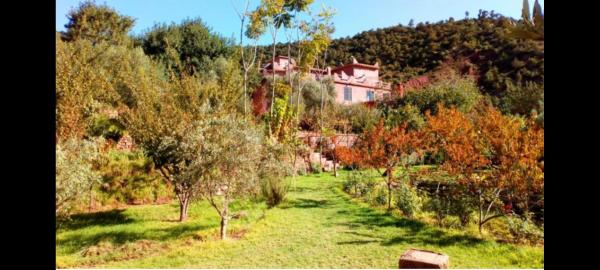 Ourika Timalizène le jardin des délices, Book Pension Ourika 