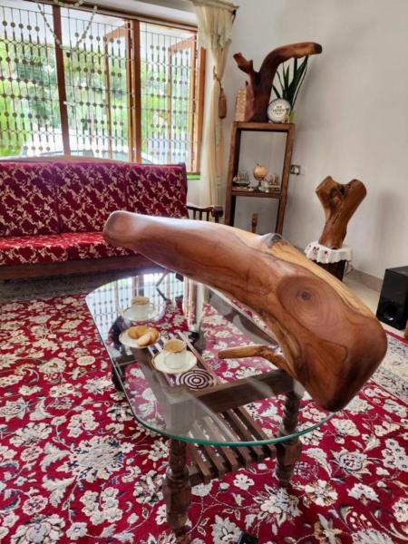 White Butterfly - A Countryside Homestay, Book Værelse i privat hjem Trivandrum New Delhi