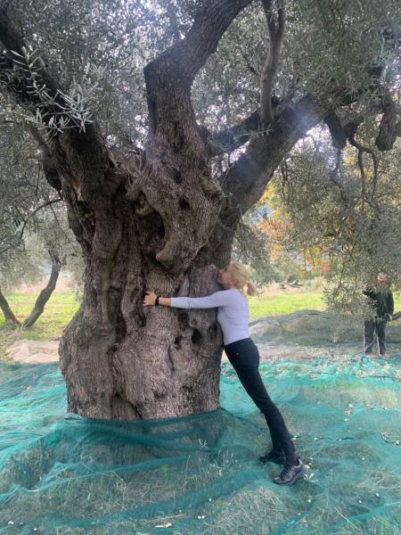 Villa Aurora, Book Villa Montegiordano Calabrien