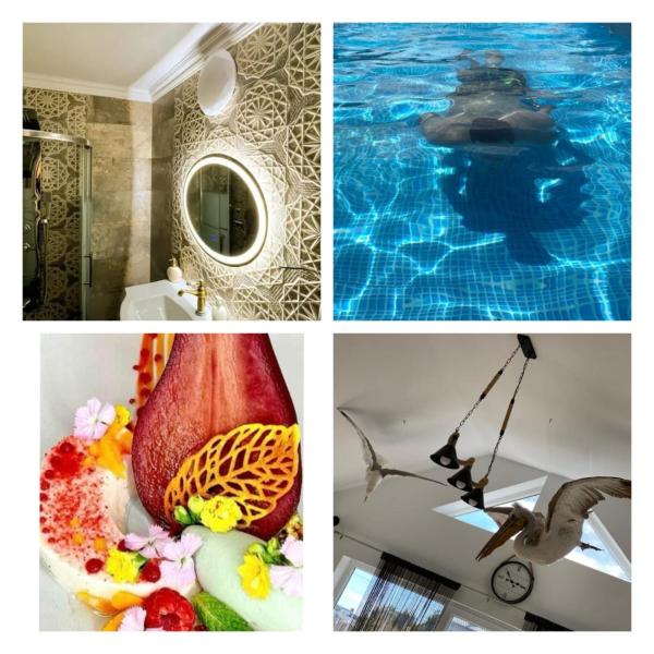 La Konac, Book Pension Hoteller i Tulcea med pool, Swimmingpool