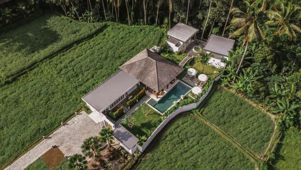 Umah Shama, Book Villa Ubud Gianyar