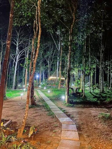TreeSong Villa - Tranquil Forest Villa in Wayanad, Book Villa Sulthan Bathery 