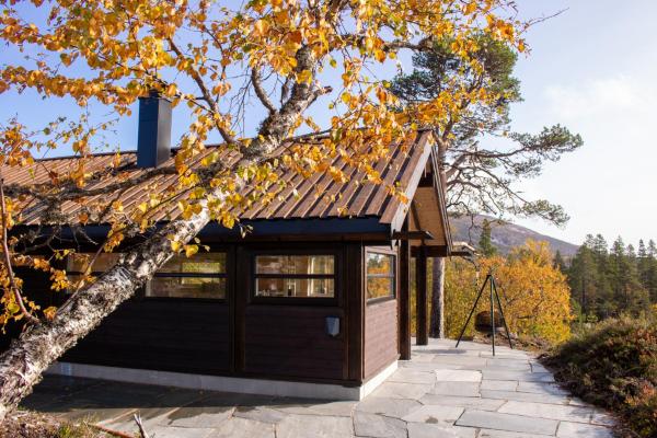 Heimstølen - Cabin at Sørbølfjell, Book Chalet Akershus Villas, Villa