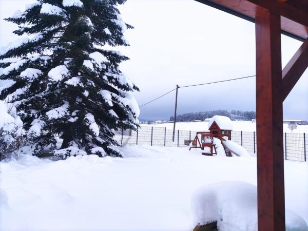 Ferienhaus am Hochficht Mühlviertel in Oberösterreich, Book Villa Freundorf Upper Austria