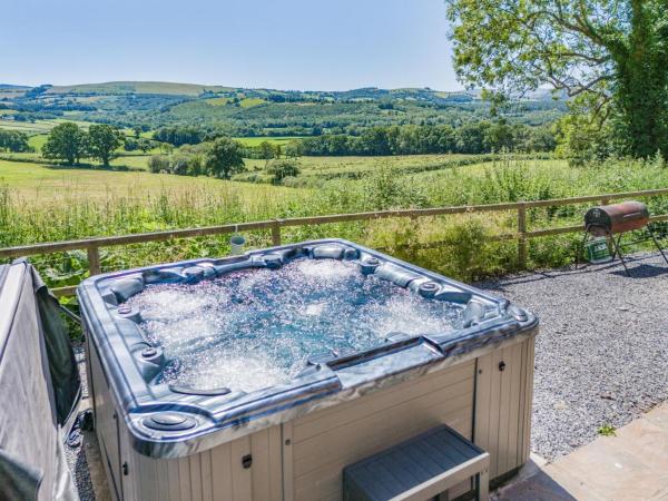 5 Bed in Llandovery oc-bow323, Book Feriehus Llandovery 
