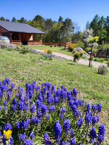 Roztocze, Domek Na Leśnym Wzgórzu nr2,Krasnobród,Zamość, Zwierzyniec, jacuzzi, Book Feriehus Podkarpackie hoteller med parkering, Parkering