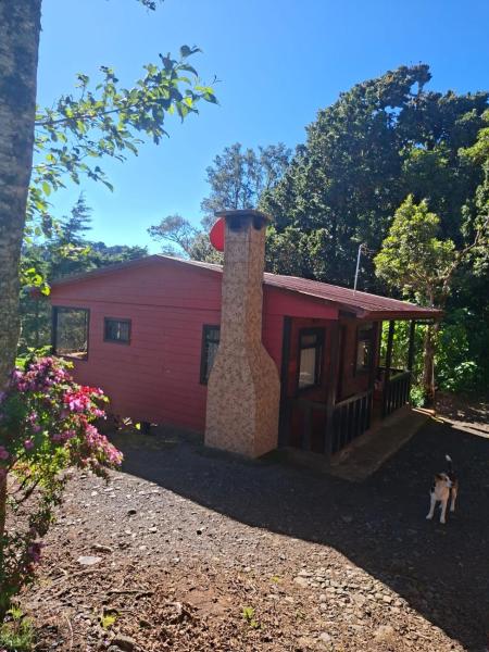 Las Bromelias Lodge, Book Feriehus Paso Macho San Jose