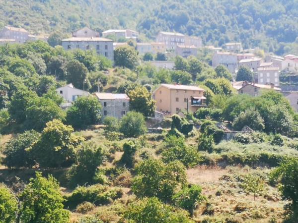 Maison de village avec jardin privatif, Book Feriehus Villaer i Korsika, Villa