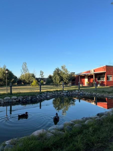 Finca La Calma, Book Feriehus San Rafael Mendoza