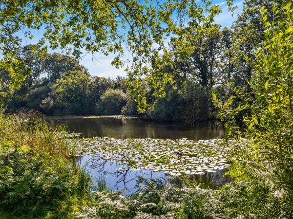 The Lodge At The Lake House, Book Feriehus Ifold West Sussex
