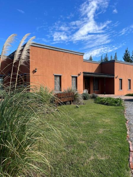 Rancho Contento Polo House, Book Feriehus Hoteller i Canuelas med pool, Swimmingpool