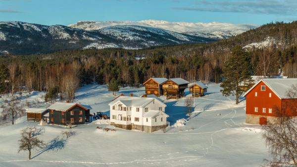 Bolkesjø Gaard, Book Feriehus Vestfold Sommerhuse, Hytte