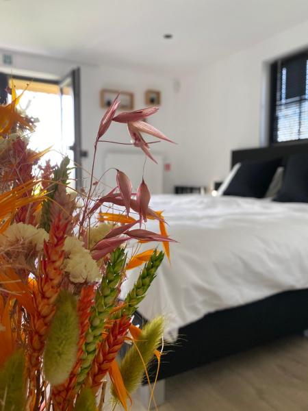Damse Paveljoentje comfort en uitzicht in Damme, Book Pension Damme 