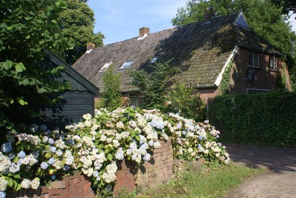 Under the Oaks, Book Feriehus Diever Drenthe