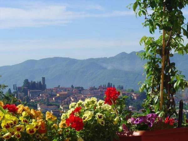 Il Trebbio, Book Feriehus Barga Garfagnana