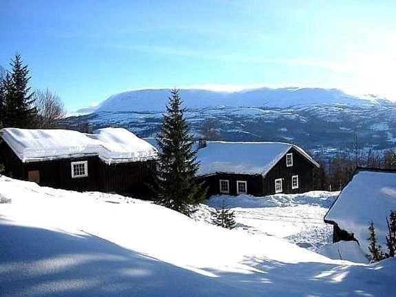 Hjartdal Fjellstoge & Storhytte, Book Feriehus Vestfold Sommerhuse, Hytte