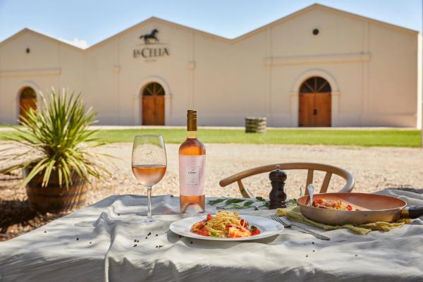 Posada La Celia Inn, Book Landsted La Consulta 