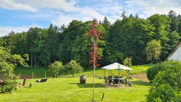 HOF-AREAL Südsteiermark Dein Ort für Poltergruppen & Hochzeiten, Book Landbrugsophold Southern Styria hoteller med pool, Swimmingpool