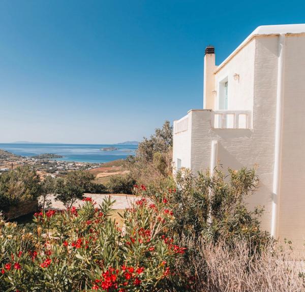 Villa Il Paradiso Andros, Book  Gavrio Andros Island