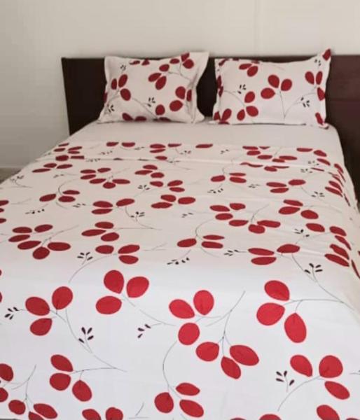 GreenSpring, Book  Cape Coast Ghana