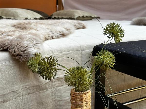Romantic Luxus Glamping 3, Book Campingplads Idestrup hoteller med morgenmad, Morgenmad