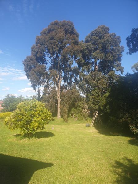 Feel Country breeze, Book  Billige hoteller i Melbourne