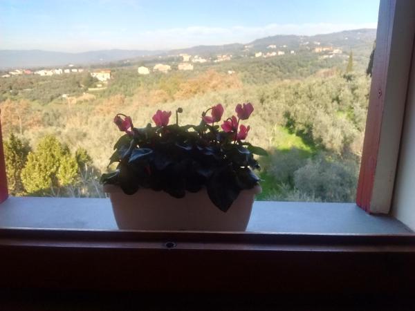 B&B Vallata, Book  Vallata 