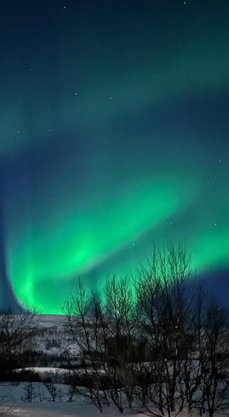Tromsdalen Aurora Apartments, Book Lejlighed Tromsdalen Troms og Finnmark