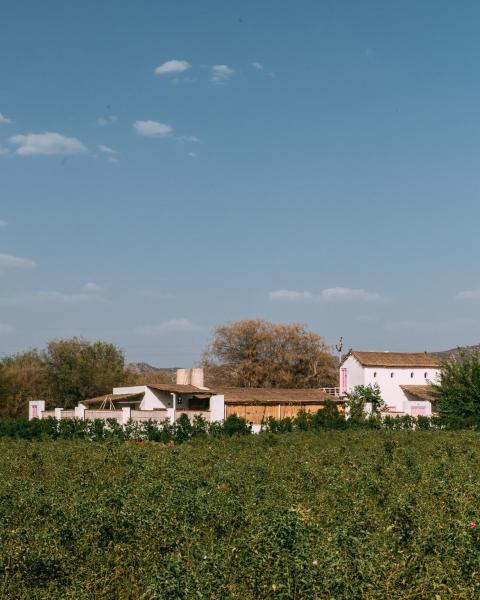 The Luxe Pushkar